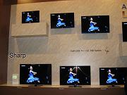IFA 2009 008
